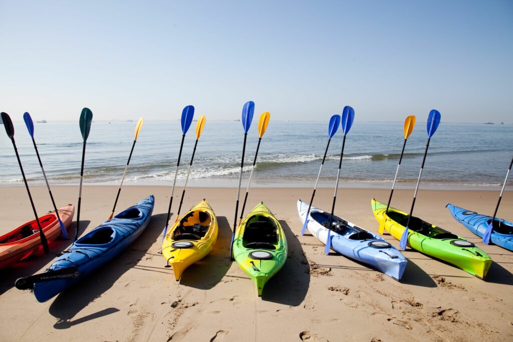 Pangaea Dune Tours walvis bay waterfront Namibia Swakopmund Sandwich Harbour Desert Dune Tours Safari 4x4 Marine Cruise Pelican Point, Seal Colonies Birds, Dolphins & Whales oryx flamingo mola mola pelican Kayak with seals