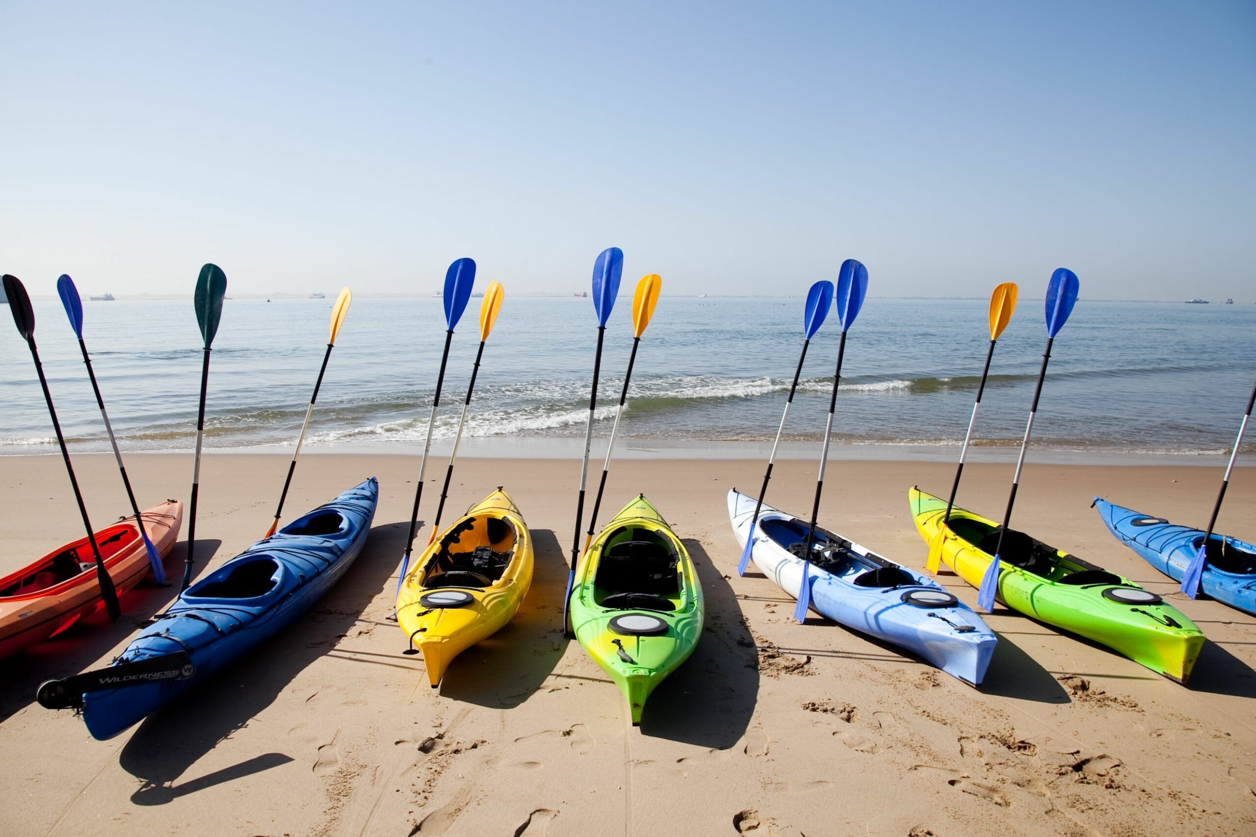 Pangaea Dune Tours walvis bay waterfront Namibia Swakopmund Sandwich Harbour Desert Dune Tours Safari 4x4 Marine Cruise Pelican Point, Seal Colonies Birds, Dolphins & Whales oryx flamingo mola mola pelican Kayak with seals