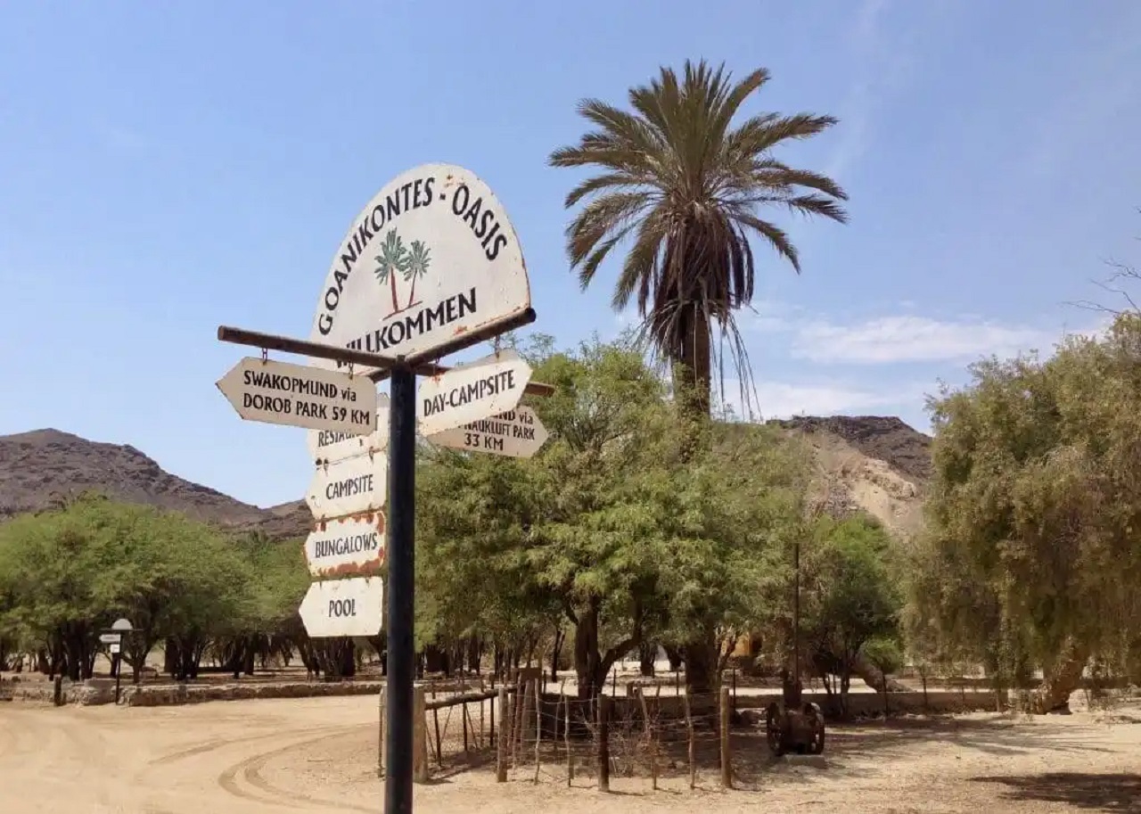 Namib Desert, Goanikontes Oasis, Welwitchia, Walvis Bay, Swakopmund, Pangaea-tours